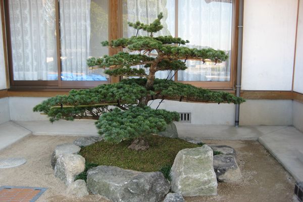 西教寺様（その他の写真）（長崎・大村市）