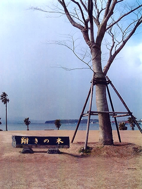 大村ライオンズクラブ創立35周年記念樹「翔きの木」　(平成11年)（長崎・大村市森園町）