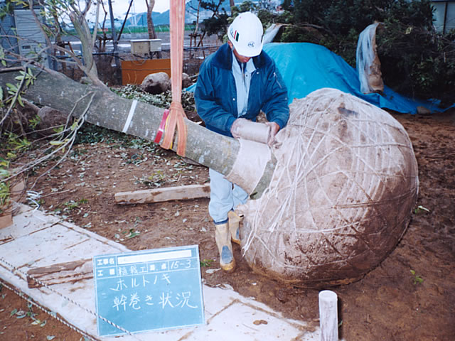 長崎港環境整備(水辺の森公園)　(平成14年)（長崎市常盤町）
